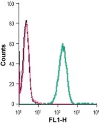 Anti-Sortilin 1 antibody used in Flow cytometry (FCM). GTX54854