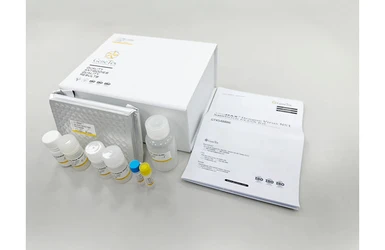 ViroMAX Dengue Virus NS1 Sandwich ELISA Kit. GTX548886