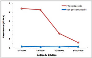 Anti-NFkB p65 (phospho Ser536) antibody used in ELISA (ELISA). GTX55114