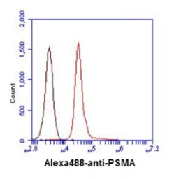 Anti-PSMA antibody [k1H8] used in Flow cytometry (FCM). GTX57558
