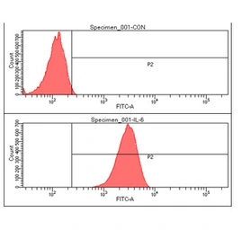 Anti-IL6 antibody [AT1H6] used in Flow cytometry (FCM). GTX57562