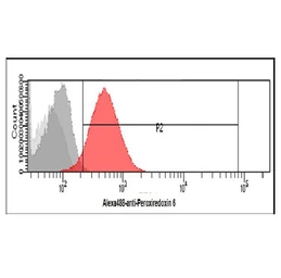Anti-Peroxiredoxin 6 antibody [AT22E7] used in Flow cytometry (FCM). GTX57622