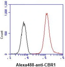 Anti-CBR1 antibody [AT2D6] used in Flow cytometry (FCM). GTX57624