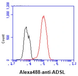 Anti-ADSL antibody [AT16C10] used in Flow cytometry (FCM). GTX57653