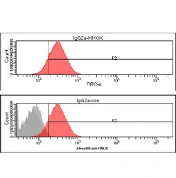 Anti-Heme Oxygenase 1 antibody [AT1D6] used in Flow cytometry (FCM). GTX57699