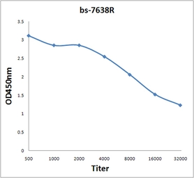 Anti-RHCG antibody used in ELISA (ELISA). GTX60193