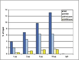 Anti-Histone H2A antibody - ChIP grade used in ChIP assay (ChIP assay). GTX60347
