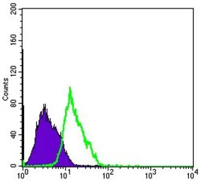 Anti-Musashi 1 antibody [2A12] used in Flow cytometry (FCM). GTX60408