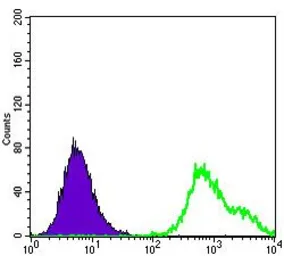 Anti-HSP27 antibody [5D7] used in Flow cytometry (FCM). GTX60444