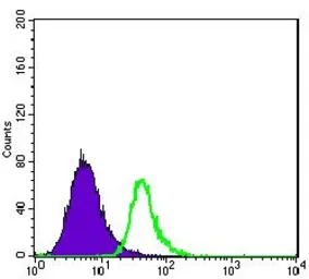 Anti-ABCG2 antibody [3G8] used in Flow cytometry (FCM). GTX60447