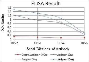 Anti-CrkL antibody [5E12] used in ELISA (ELISA). GTX60462