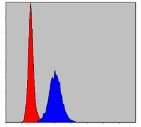 Anti-MMP9 antibody [5G3] used in Flow cytometry (FCM). GTX60482