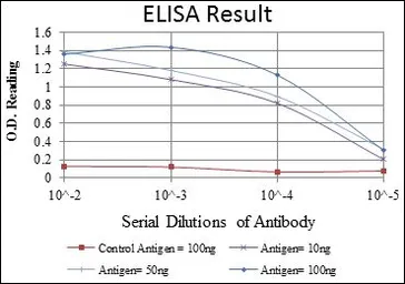 Anti-ERK1 antibody [1E5] used in ELISA (ELISA). GTX60492