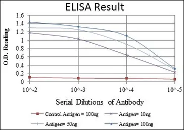 Anti-GATA5 antibody [1B11] used in ELISA (ELISA). GTX60493