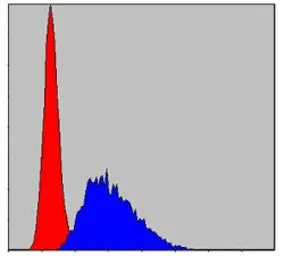 Anti-Caspase 8 antibody [1H11] used in Flow cytometry (FCM). GTX60510