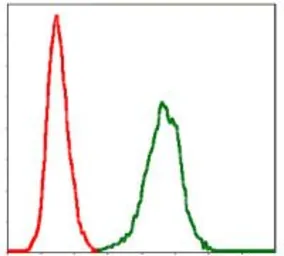 Anti-PAI-1 antibody [1D5] used in Flow cytometry (FCM). GTX60537
