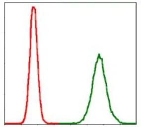 Anti-PPP2R4 antibody [4D9] used in Flow cytometry (FCM). GTX60539