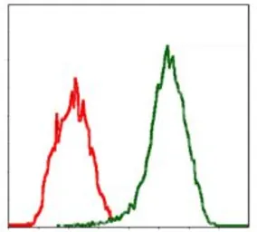Anti-Moesin antibody [2C12] used in Flow cytometry (FCM). GTX60569