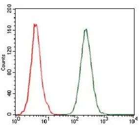 Anti-MCP1 / CCL2 antibody [2D8] used in Flow cytometry (FCM). GTX60582