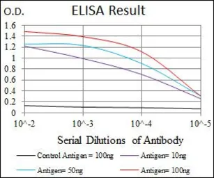 Anti-MELK antibody [2G2] used in ELISA (ELISA). GTX60605