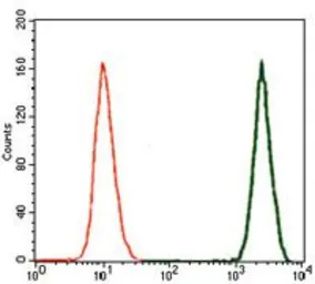 Anti-Doublecortin antibody [2G5] used in Flow cytometry (FCM). GTX60612