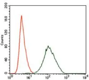 Anti-PLK1 antibody [3C11] used in Flow cytometry (FCM). GTX60627