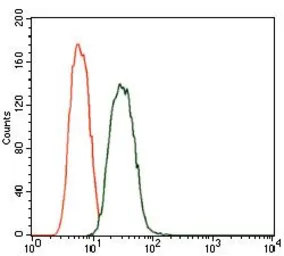 Anti-PDE1B antibody [10B10B12] used in Flow cytometry (FCM). GTX60719