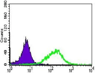 Anti-Alkaline phosphatase (intestinal) antibody [3B10E7] used in Flow cytometry (FCM). GTX60746