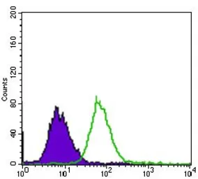Anti-EGFR (mutant) antibody [5G9B5] used in Flow cytometry (FCM). GTX60766