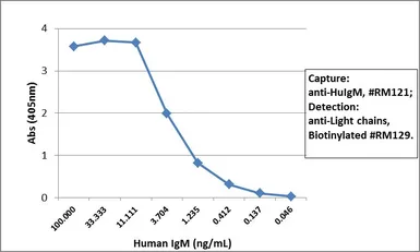 Rabbit Anti-Human IgM antibody [RM121]. GTX60866