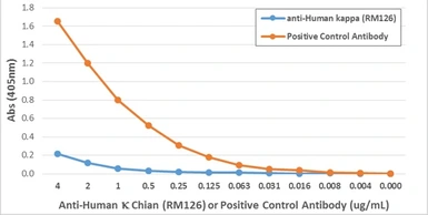 Rabbit Anti-Human kappa light chain antibody [RM126]. GTX60871