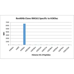 Anti-Histone H3K9ac (Acetyl Lys9) antibody [RM161] used in  (). GTX60885