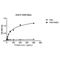 Anti-Histone H3 antibody [RM188] used in ELISA (ELISA). GTX60888