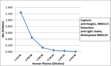 Rabbit Anti-Human Ig light chain antibody [RM129] (Biotin). GTX60920