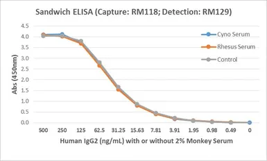 Rabbit Anti-Human Ig light chain antibody [RM129] (Biotin). GTX60920