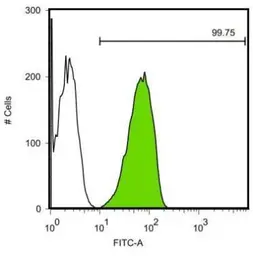 Anti-SOX2 antibody [GT1876] used in Flow cytometry (FCM). GTX627404