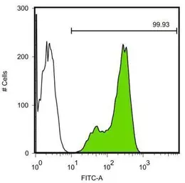 Anti-Nanog antibody [GT3312] used in Flow cytometry (FCM). GTX627421