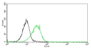 Anti-CD11a antibody [GT0011] used in Flow cytometry (FCM). GTX628423