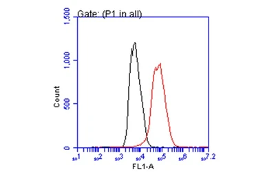 Anti-p21 Cip1 antibody [GT1032] used in Flow cytometry (FCM). GTX629543