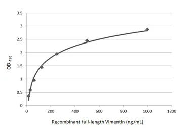 Anti-Vimentin antibody [GT812] used in ELISA (ELISA). GTX629744