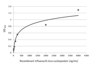 Anti-Influenza B virus Nucleoprotein antibody [GT371] used in ELISA (ELISA). GTX629882