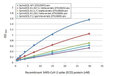 Anti-SARS-CoV / SARS-CoV-2 (COVID-19) spike antibody [1A9] used in ELISA (ELISA). GTX632604