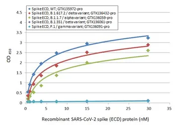 Anti-SARS-CoV / SARS-CoV-2 (COVID-19) spike antibody [1A9] used in ELISA (ELISA). GTX632604
