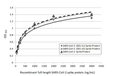 Anti-SARS-CoV / SARS-CoV-2 (COVID-19) spike antibody [1A9] used in ELISA (ELISA). GTX632604