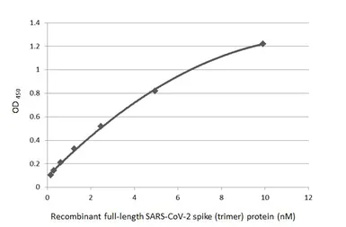 Anti-SARS-CoV / SARS-CoV-2 (COVID-19) spike antibody [1A9] used in ELISA (ELISA). GTX632604