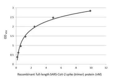 Anti-SARS-CoV / SARS-CoV-2 (COVID-19) spike antibody [1A9] used in ELISA (ELISA). GTX632604