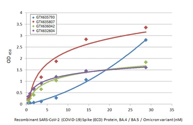 Anti-SARS-CoV / SARS-CoV-2 (COVID-19) spike antibody [1A9] used in ELISA (ELISA). GTX632604