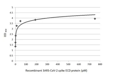 Anti-SARS-CoV / SARS-CoV-2 (COVID-19) spike antibody [1A9] used in ELISA (ELISA). GTX632604
