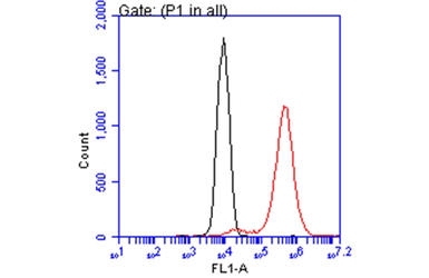 Anti-ATP6V1A antibody [GT3846] used in Flow cytometry (FCM). GTX633542