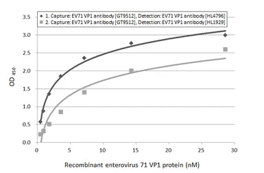 Anti-Enterovirus 71 VP1 antibody [GT9512] used in ELISA (ELISA). GTX633583